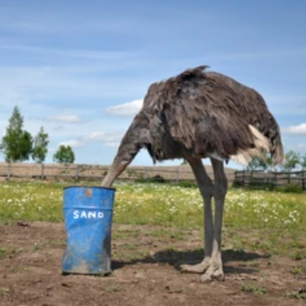 Almost As Fun As Digging For Buried Treasure, Get $10 Towards Your 1st Purchase! - Picture 2 of 2